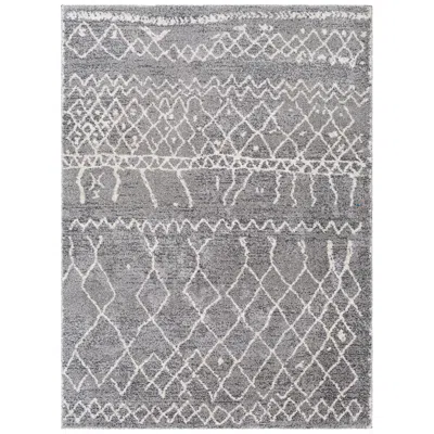 Surya Andorra Ard-2304 2'x3' Gray And White Indoor Area Rug