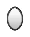 Surya Araminta Accent Mirror In Black