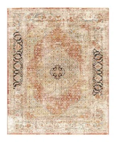 Surya Aspendos Aps 2302 Area Rugs In Brick