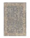 Surya Aspendos Traditional Rug In Navy