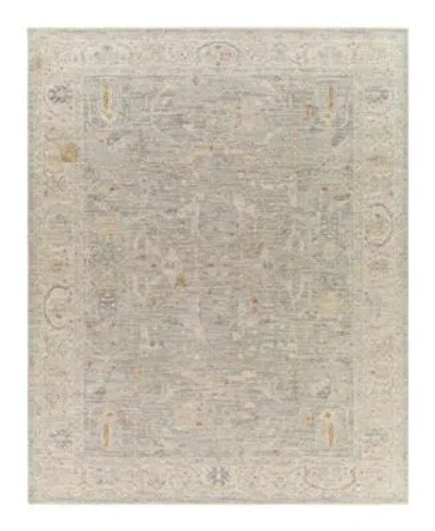 Surya Avant Garde Avt 2339 Area Rugs In Cream
