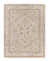 Surya Avant Garde Rug In Sage