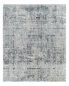 Surya Brunswick Bwk-2300 Area Rug, 2'7 X 4' In Mist/sage