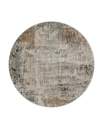 Surya Brunswick Bwk-2302 Round Area Rug, 6'7 X 6'7 In Mocha/brown