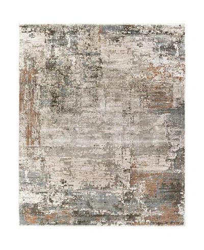 Surya Brunswick Bwk-2303 7'10" X 10'3" Area Rug In Mocha