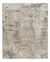 Surya Brunswick Bwk-2307 Area Rug, 2'7 X 4' In Khaki/sage