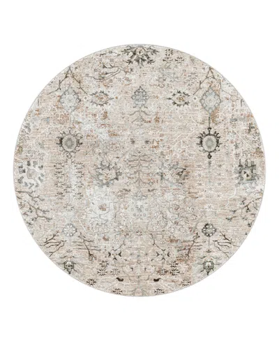 Surya Brunswick Bwk-2311 5'3" X 5'3" Round Area Rug In Beige
