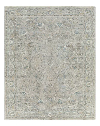 Surya Brunswick Bwk-2312 Area Rug, 2'7 X 4' In Sage/beige