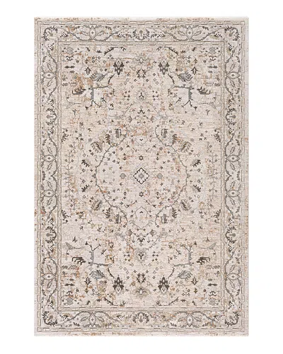 Surya Brunswick Bwk-2312 Area Rug, 6'7 X 9'6 In Beige