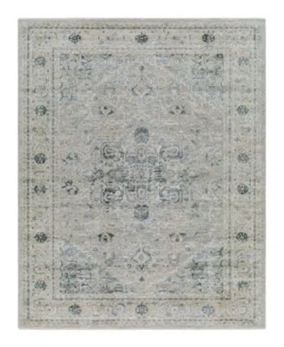 Surya Brunswick Bwk 2319 Area Rugs In Mist