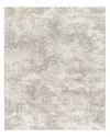 Surya Brunswick Bwk-2322 Area Rug, 2'7 X 4' In Ivory/gray