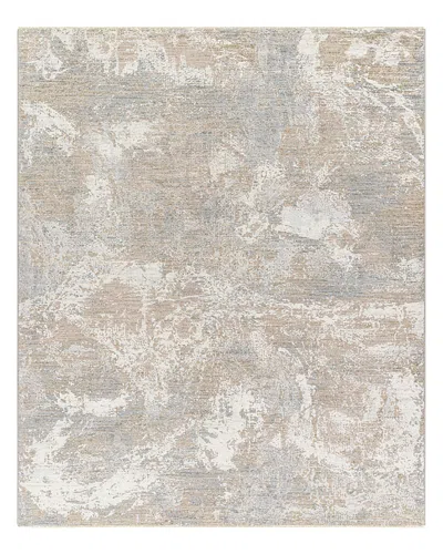 Surya Brunswick Bwk-2334 Area Rug, 2'7 X 4' In Brown/gray