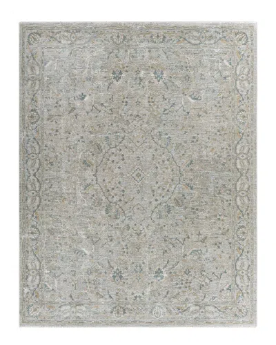 Surya Brunswick Rug In Beige