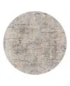 Surya Cardiff Cdf-2301 7'10x7'10 Round Area Rug In Silver