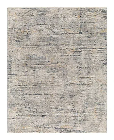 Surya Cardiff Cdf-2301 Area Rug, 2'7 X 4' In Grey/silver
