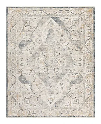 Surya Cardiff Cdf-2303 Area Rug, 6'7 X 9'6 In Grey/mist