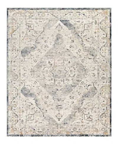 Surya Cardiff Cdf-2303 Area Rug, 7'10 X 10'3 In Grey/mist