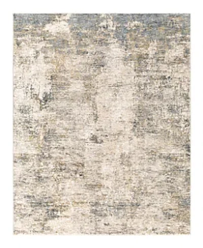 Surya Cardiff Cdf-2304 Area Rug, 2'7 X 4' In Gray/mist