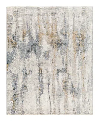 Surya Cardiff Cdf-2306 Area Rug, 2' X 3' In Grey/mist