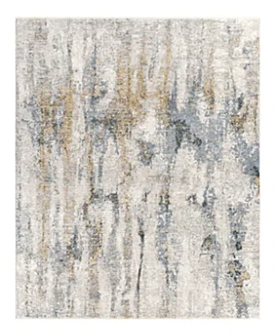 Surya Cardiff Cdf-2306 Area Rug, 7'10 X 10'3 In Grey/mist