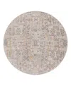 Surya Cardiff Cdf-2309 5'3x5'3 Round Area Rug In Charcoal