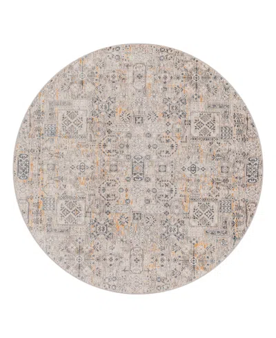 Surya Cardiff Cdf-2309 6'7x6'7 Round Area Rug In Charcoal