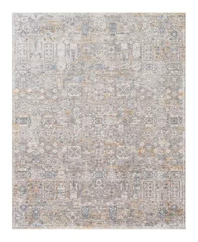Surya Cardiff Cdf-2309 6'7x9'6 Area Rug In Charcoal