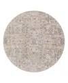 Surya Cardiff Cdf-2309 7'10x7'10 Round Area Rug In Charcoal