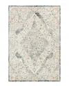Surya Cardiff Traditional Rug In Gray
