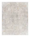 Surya Carmel Crl-2317 2'7x4' Area Rug In Taupe