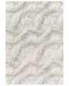 Surya Cloudy Shag Gray Area Rug Cdg2306 In Grey