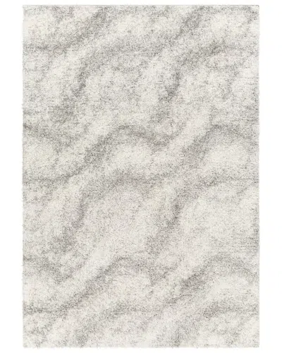 Surya Cloudy Shag Gray Area Rug Cdg2306 In Grey