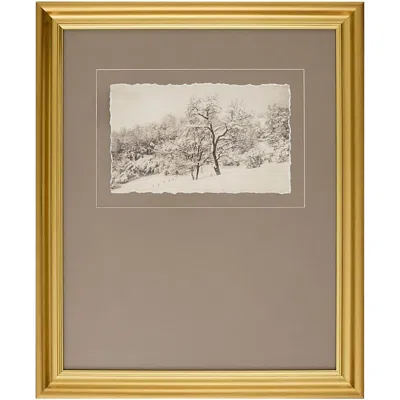 Surya Coconino Framed Art In Gold