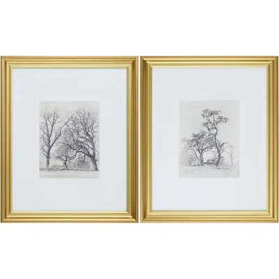 Surya Coconino Framed Art, Set Of 2 In Gold