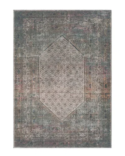 Surya Colin Traditional Washable Rug In Charcoal