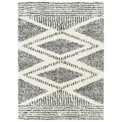 Surya Deluxe Shag Dxs-2309 6'7"x9' Cream Charcoal Area Rug In Gray