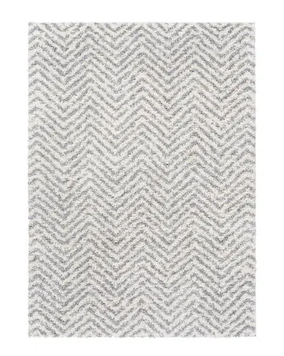 Surya Deluxe Shag Modern Rug In Multi
