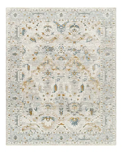 Surya Dresden Dre-2308 Area Rug, 2' X 3' In Ivory/blue
