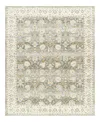Surya Dresden Dre-2312 7'10" X 10'3" Area Rug In Olive