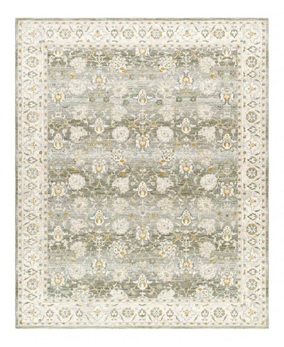 Surya Dresden Dre-2312 7'10" X 10'3" Area Rug In Olive