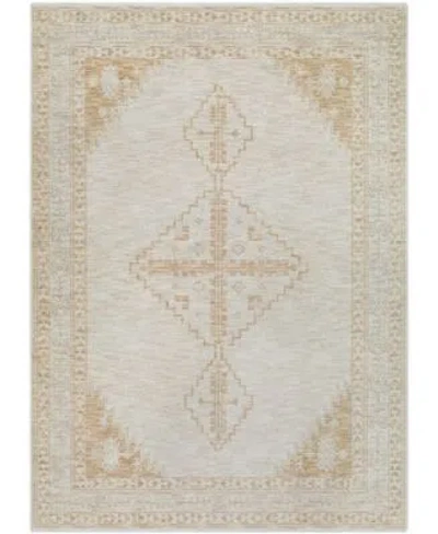 Surya Emory 527462 Rug Collection In Tan Beige