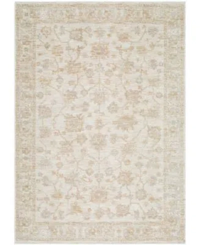 Surya Emory 527474 Rug Collection In Ivory Tan
