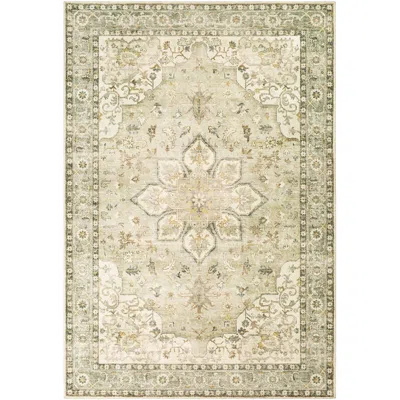 Surya Erin Ern-2310 2'6"x4' Cream And Sage Area Rug