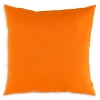 Surya Essien Outdoor Decorative Pillow 20 X 20 In Orange