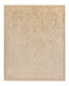 Surya Hillcrest Hil-9018 Area Rug, 2' X 3' In Beige/cream/khaki