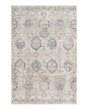 Surya Indigo Igo-2306 Area Rug, 2' X 2'11 In Light Blue