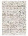 Surya Lavadora Machine-washable Rug In Ivory