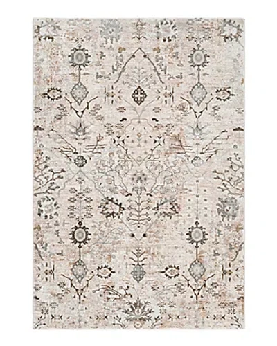Surya Brunswick Bwk-2311 Area Rug, 7'10 X 10'3 In Khaki