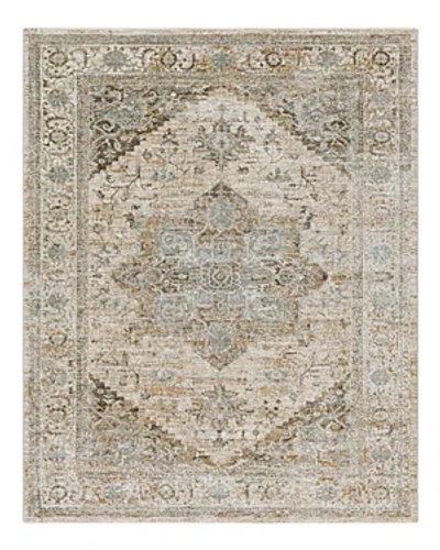 Surya Livabliss Brunswick Bwk-2320 Area Rug, 6'7 X 9'6 In Multi
