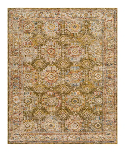 Surya Mona Lisa Mni-2302 7'10x10'3 Area Rug In Rust-cream